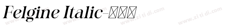 Felgine Italic字体转换
